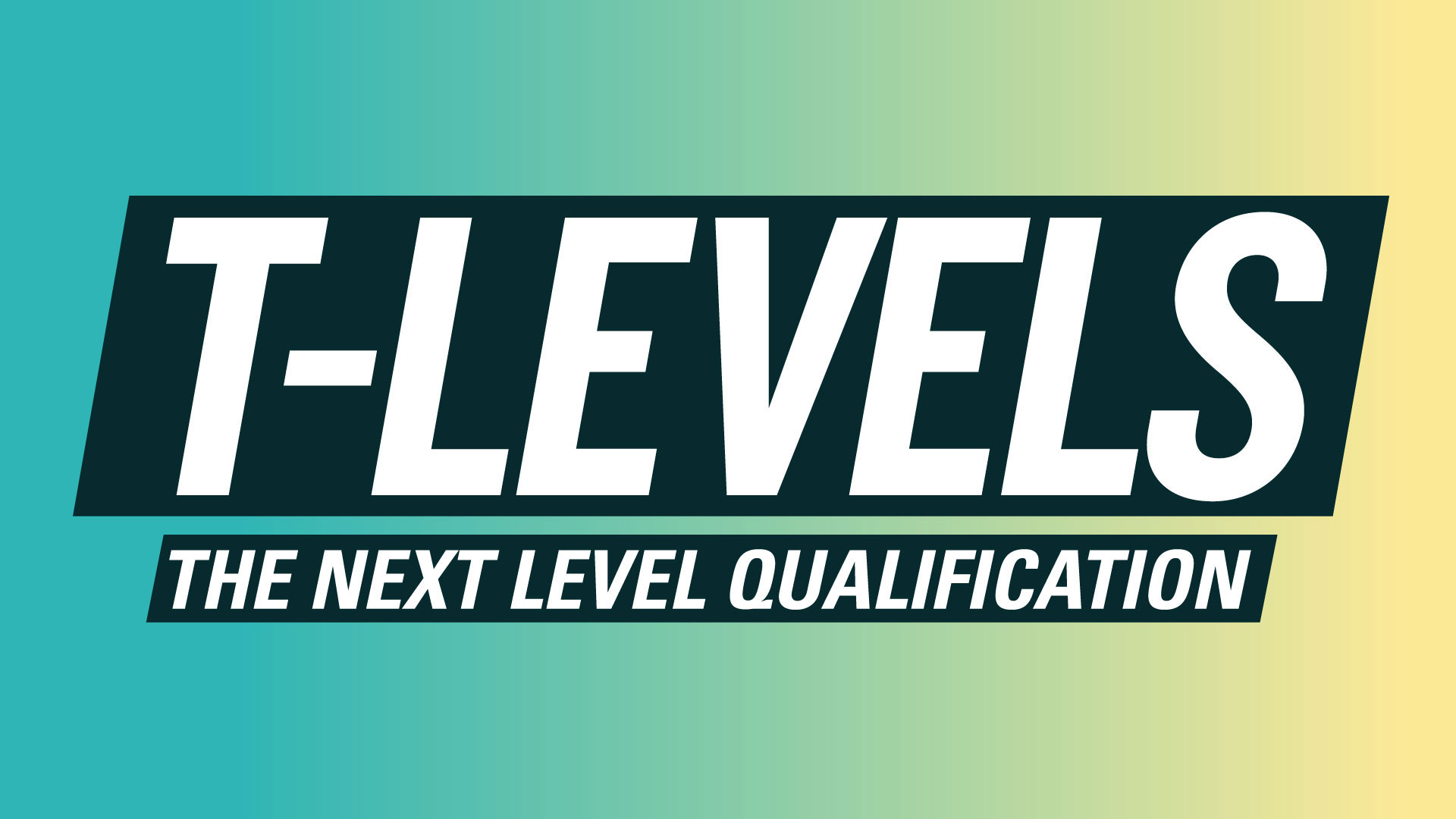 t levels blog banner5